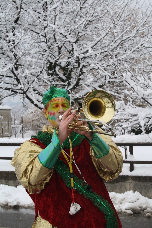 gran_carnevale_tremonese_2012 (25).jpg